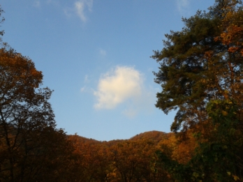 MyPhoto_하늘.jpg