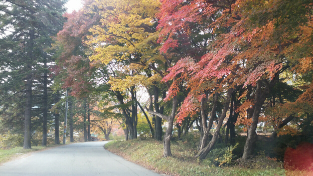가을풍경1.jpg
